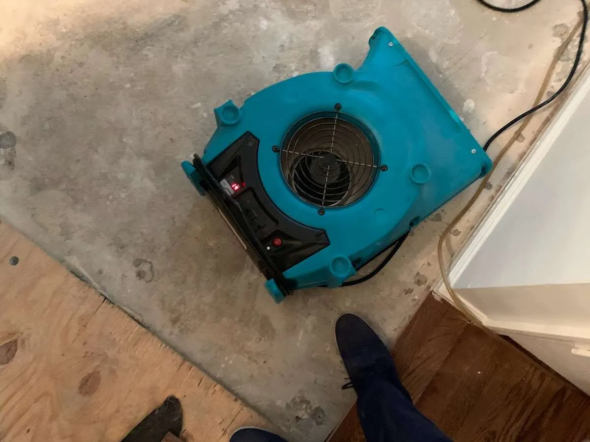 Air mover drying subfloor during Commercial Water Damage Restoration in Orange